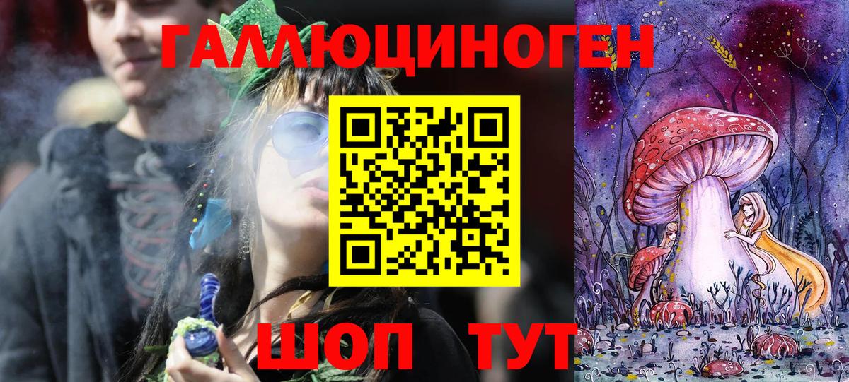 Галлюциногенные грибы Psilocybine cubensis Отрадный