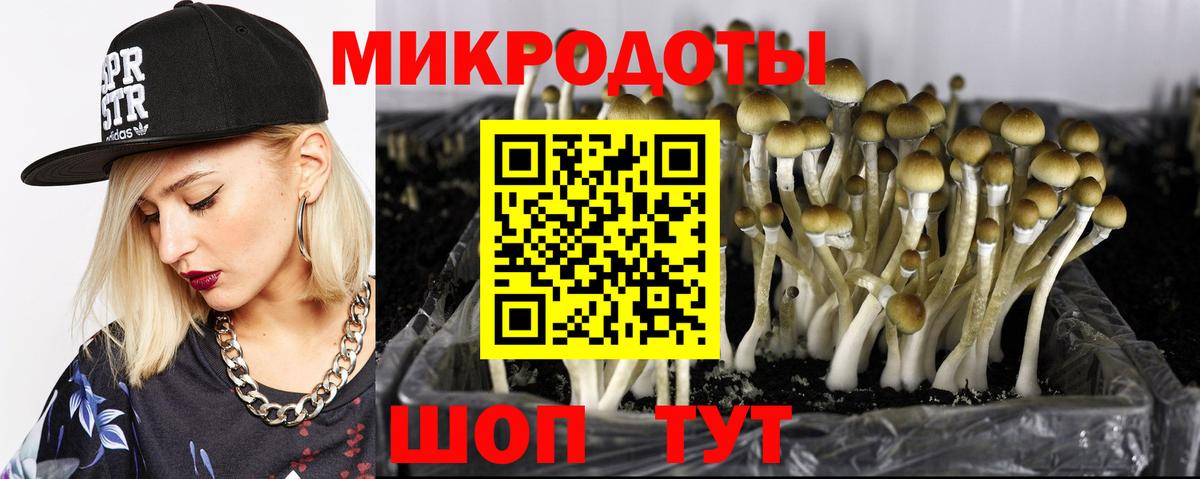 Галлюциногенные грибы Cubensis  сколько стоит  Отрадный  Вход с VPN 